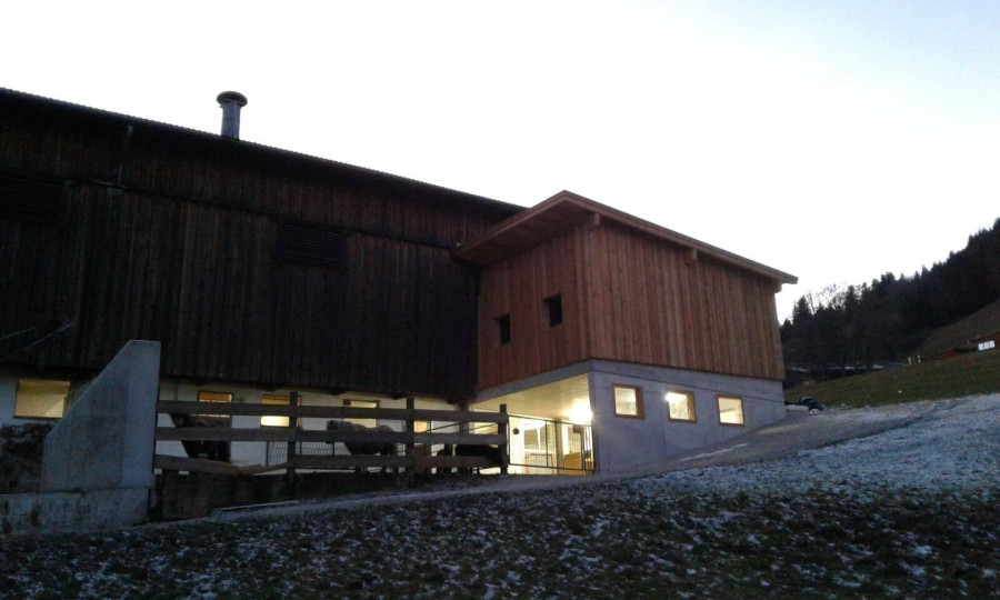 Holzbau Zimmerei Landwirtschaft Pinzgau 6